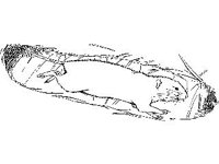 ANML0570.jpg
