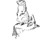ANML0555.jpg