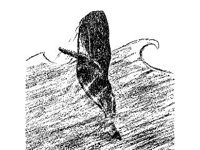 ANML0548.jpg
