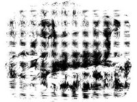ANML0546.jpg