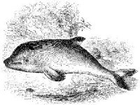 ANML0542.jpg