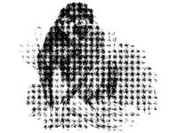 ANML0539.jpg