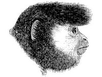 ANML0532.jpg