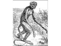 ANML0531.jpg