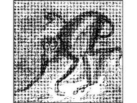 ANML0530.jpg