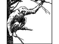 ANML0526.jpg