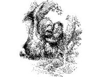 ANML0524.jpg
