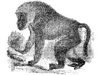 ANML0520.jpg