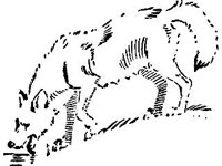 ANML0518.jpg
