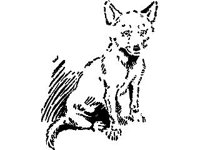 ANML0517.jpg
