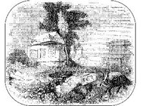 ANML0514.jpg