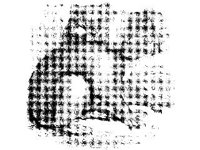ANML0504.jpg