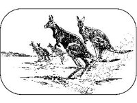 ANML0503.jpg