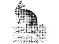 ANML0502.jpg