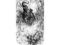 ANML0493.jpg