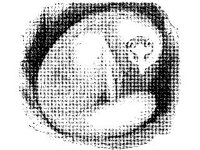 ANML0483.jpg