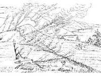 ANML0481.jpg