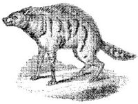 ANML0480.jpg
