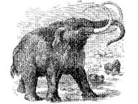 ANML0471.jpg