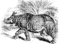 ANML0470.jpg