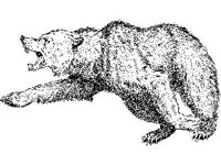ANML0468.jpg