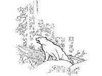 ANML0450.jpg