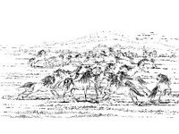 ANML0447.jpg