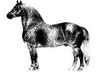 ANML0440.jpg