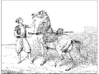 ANML0438.jpg