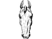 ANML0432.jpg
