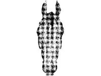 ANML0428.jpg