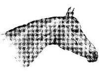 ANML0427.jpg