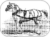 ANML0422.jpg