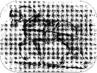 ANML0421.jpg