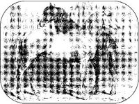 ANML0418.jpg