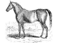 ANML0414.jpg
