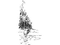 ANML0401.jpg