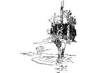 ANML0400.jpg