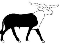 ANML0398.jpg