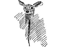 ANML0397.jpg