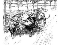 ANML0395.jpg