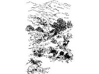 ANML0393.jpg