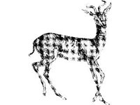 ANML0382.jpg
