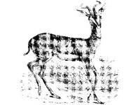 ANML0381.jpg