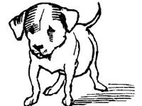ANML0376.jpg