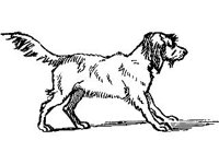 ANML0374.jpg