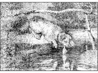 ANML0372.jpg