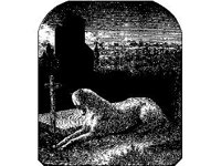 ANML0371.jpg