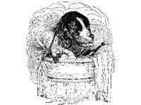 ANML0367.jpg