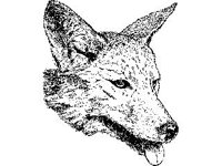 ANML0359.jpg